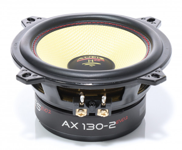 AUDIO SYSTEM AX 130-2 EVO 2